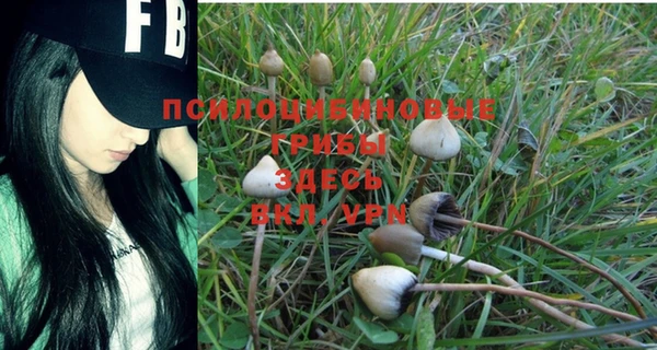 бутират Новозыбков