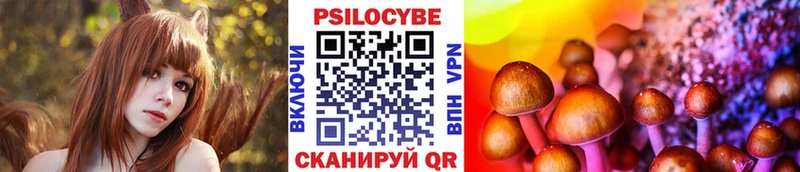 цены   Трубчевск  blacksprut вход  Псилоцибиновые грибы MAGIC MUSHROOMS 